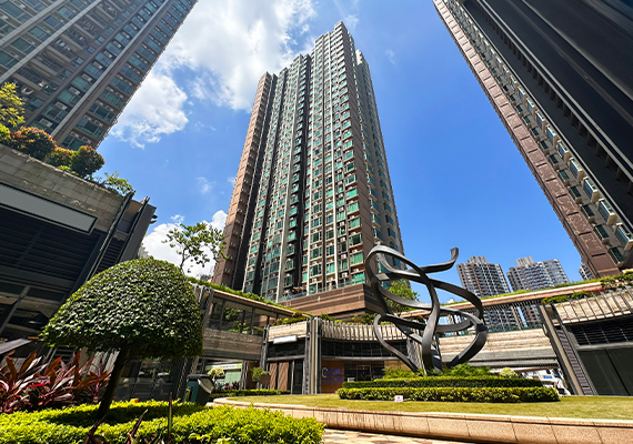 Yuccie Square
